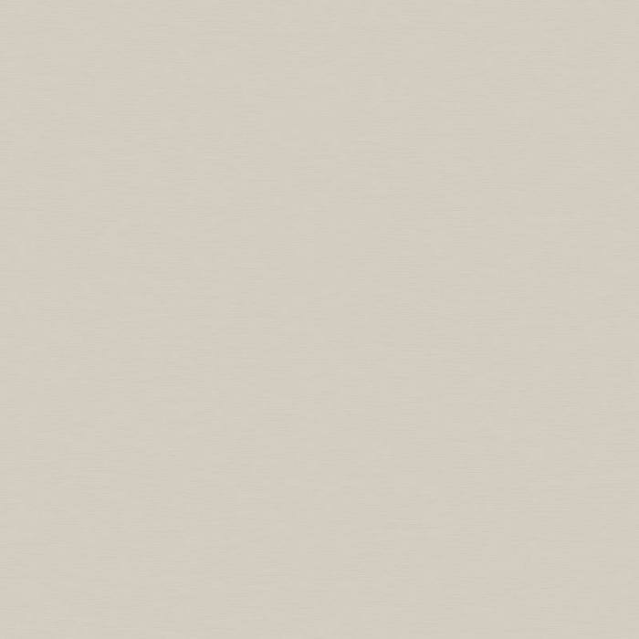 ALUCOBOND Plus champagnermetallic 503 PVDF einbrennlackiert einseitig Dekor EN13501-1, B-s1,d0 einseitig Folie 4.000 x 1.500 x 4 mm